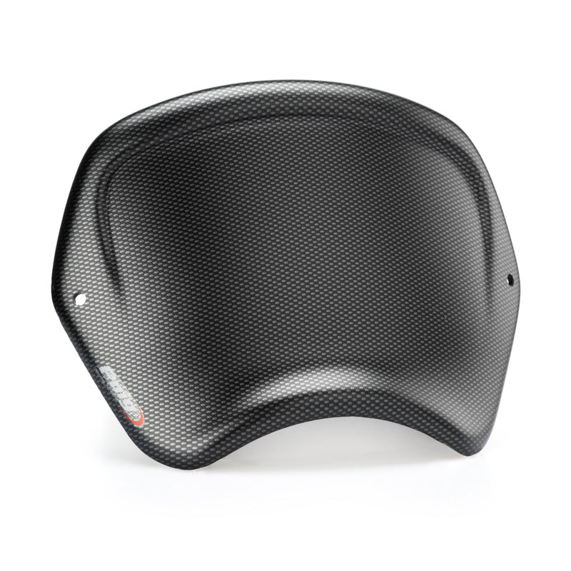 %FRONT PLATE BMW R NINE T 14'-18'C/CARBON