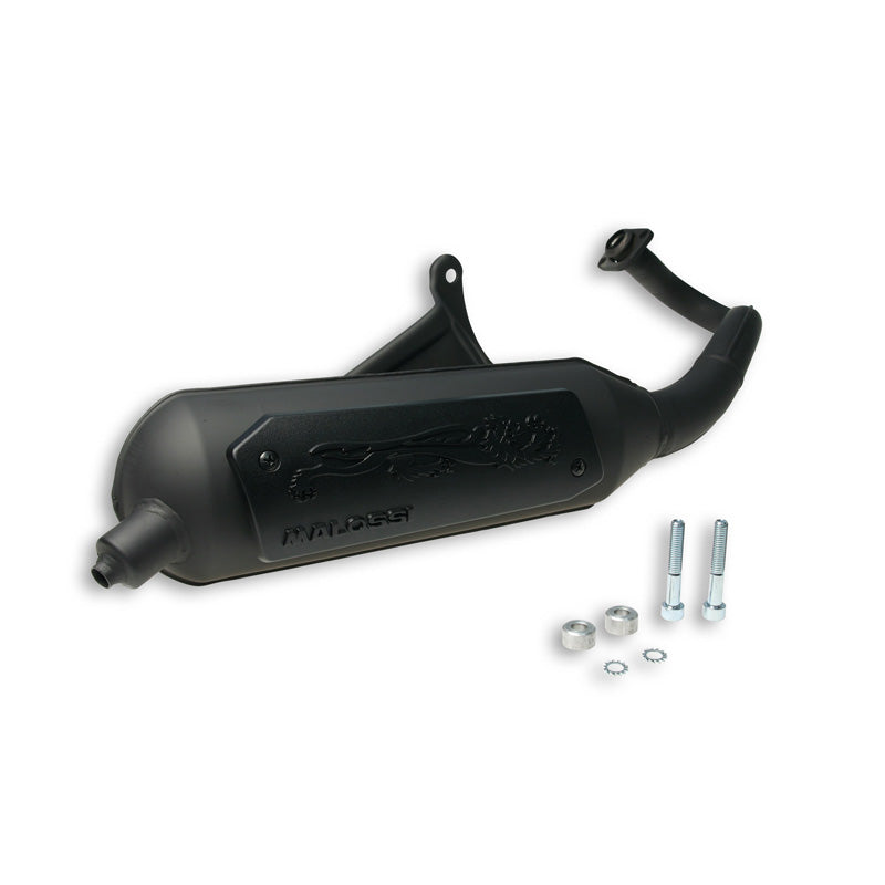 WILD LION EXHAUST PIAGGIO 2T