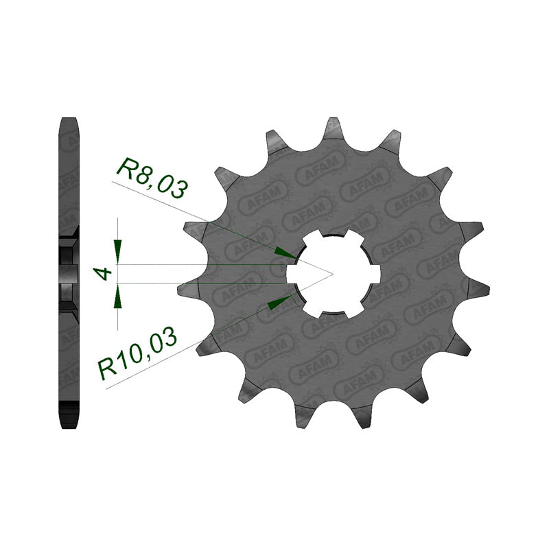 AFAM 13T 420 TTR50 2006 (30100).