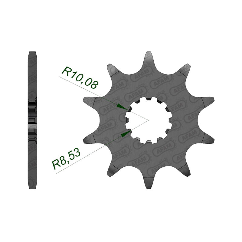 SPR.FR.BETA EVO 200/250/300 10T 520 (40300-10)