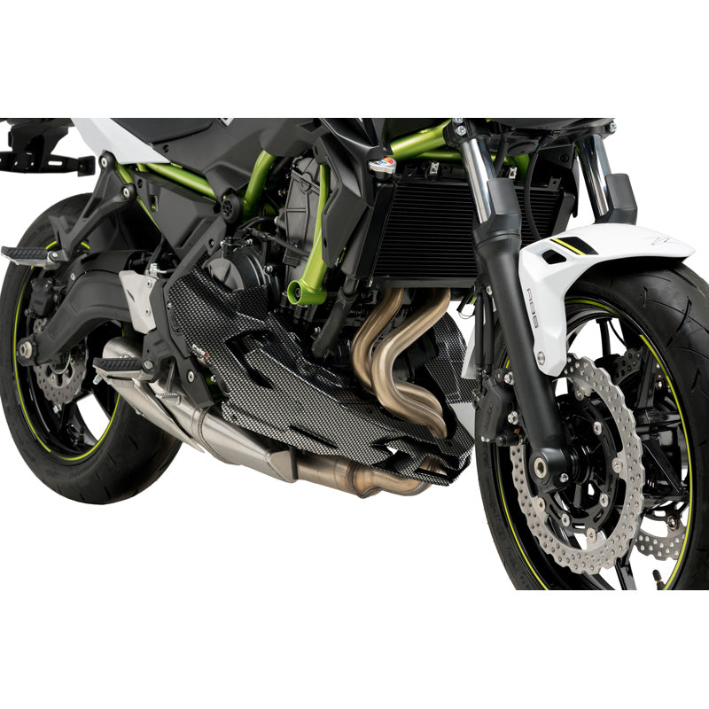 %SABOT MOTEUR KAWASAKI Z650 20' C/CARBON LOOK