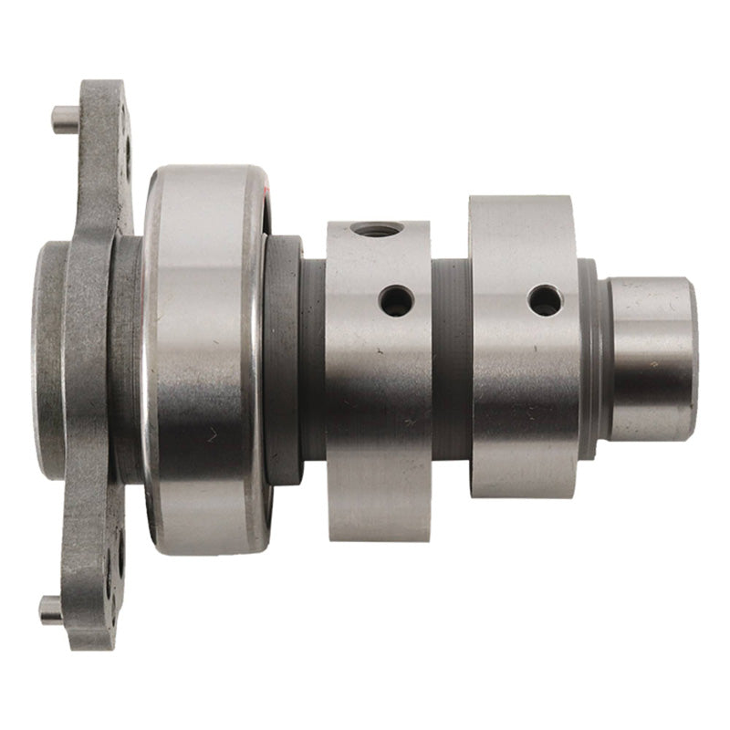 %CAMSHAFTS RAPTOR 700 2009