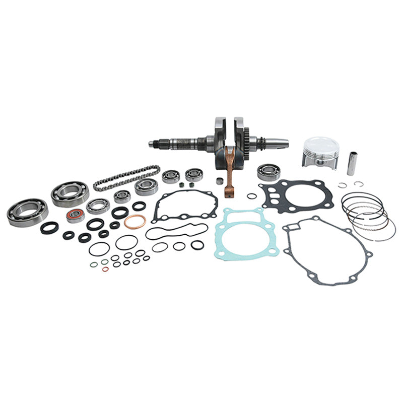 %COMPLETE ENGINE REBUILD KIT TRX 350 00-06